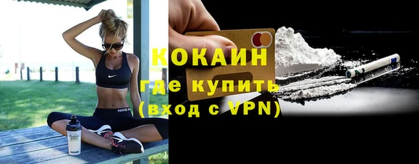 соль ск Абаза