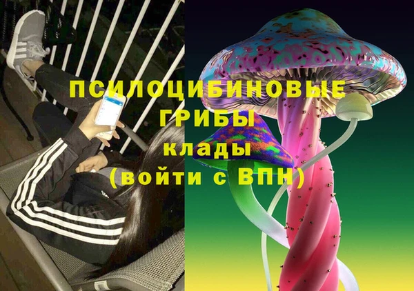 соль ск Абаза