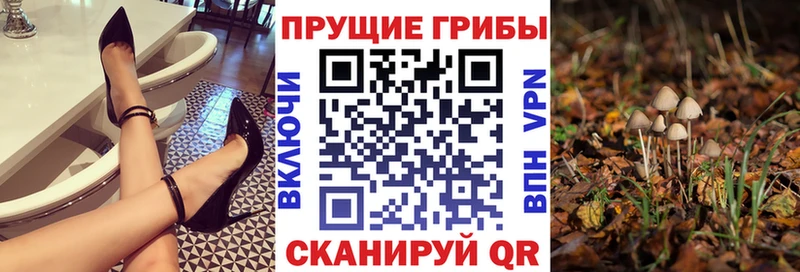 Галлюциногенные грибы GOLDEN TEACHER  Сурск 
